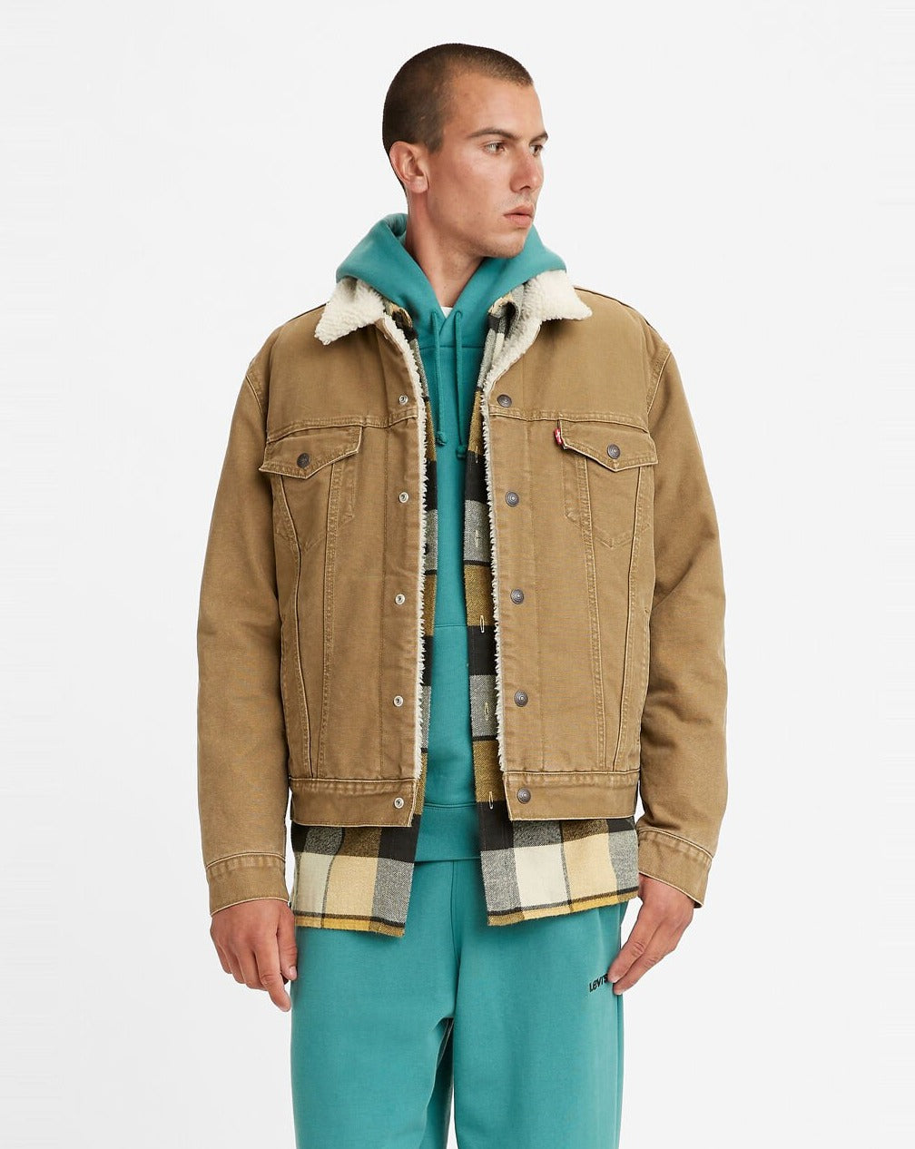 Levi's Canvas Sherpa Trucker Jacket Cougar (Tan)