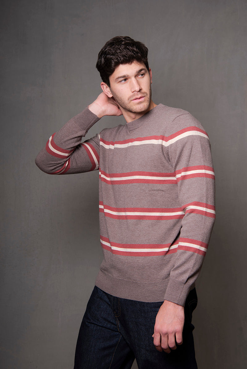 Crew Neck Stripe Pullover in Iced Coffee Combo BL6503