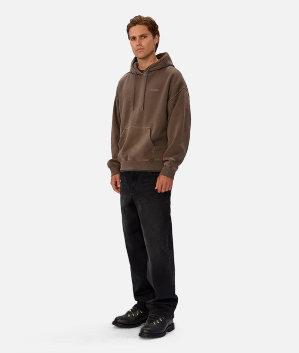 The Del Sur Washed Hoodie in Mocha