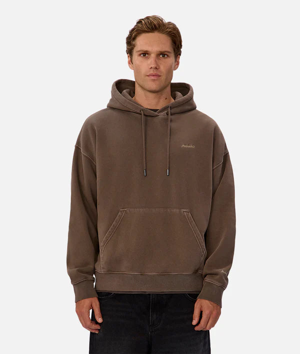 The Del Sur Washed Hoodie in Mocha