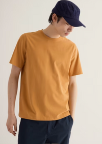 Seasalt Men's Merthen T-Shirt in Mustard Seed