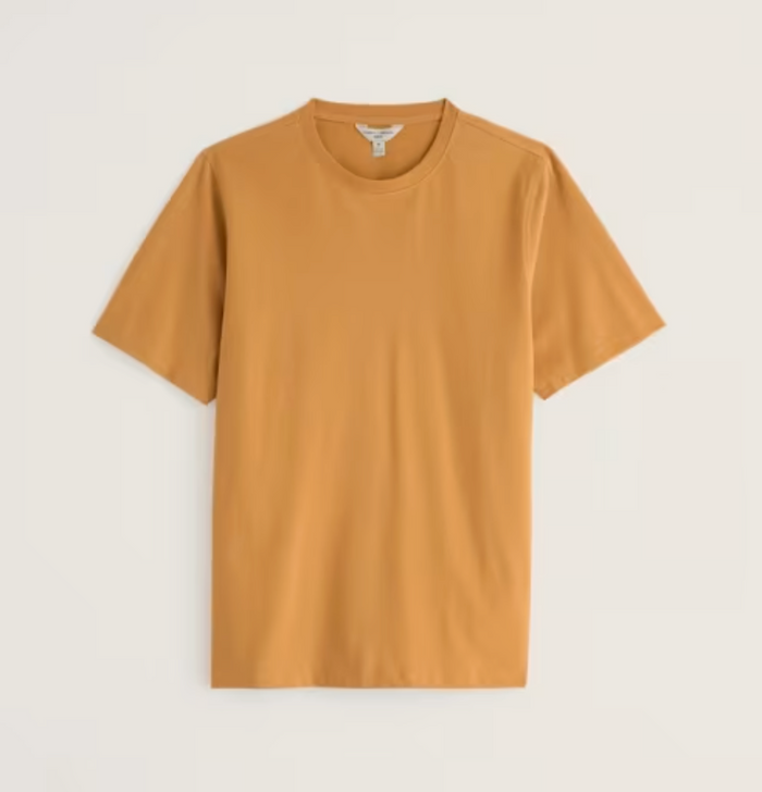 Seasalt Men's Merthen T-Shirt in Mustard Seed