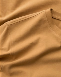 Seasalt Men's Merthen T-Shirt in Mustard Seed