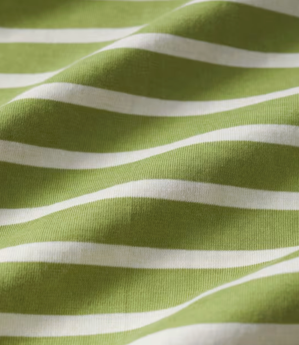 Seasalt Men's Sailor Shirt in Breton Grasshopper