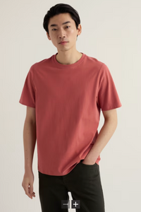 Seasalt Men's Merthen T-Shirt in Dusty Copper