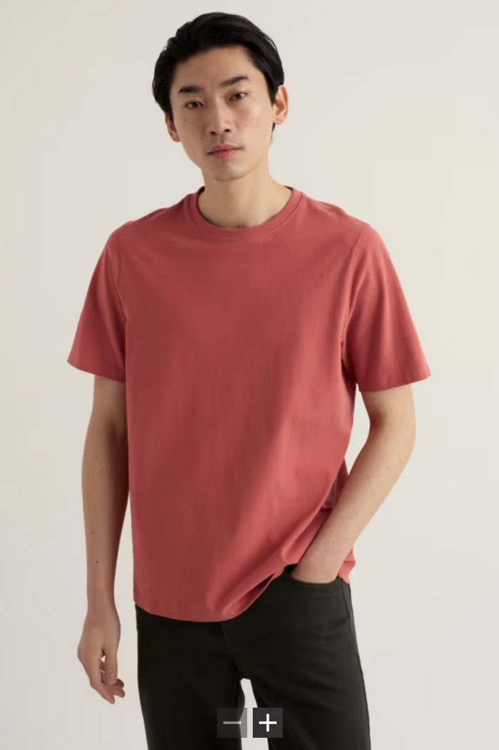 Seasalt Men's Merthen T-Shirt in Dusty Copper