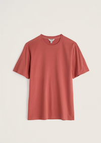 Seasalt Men's Merthen T-Shirt in Dusty Copper