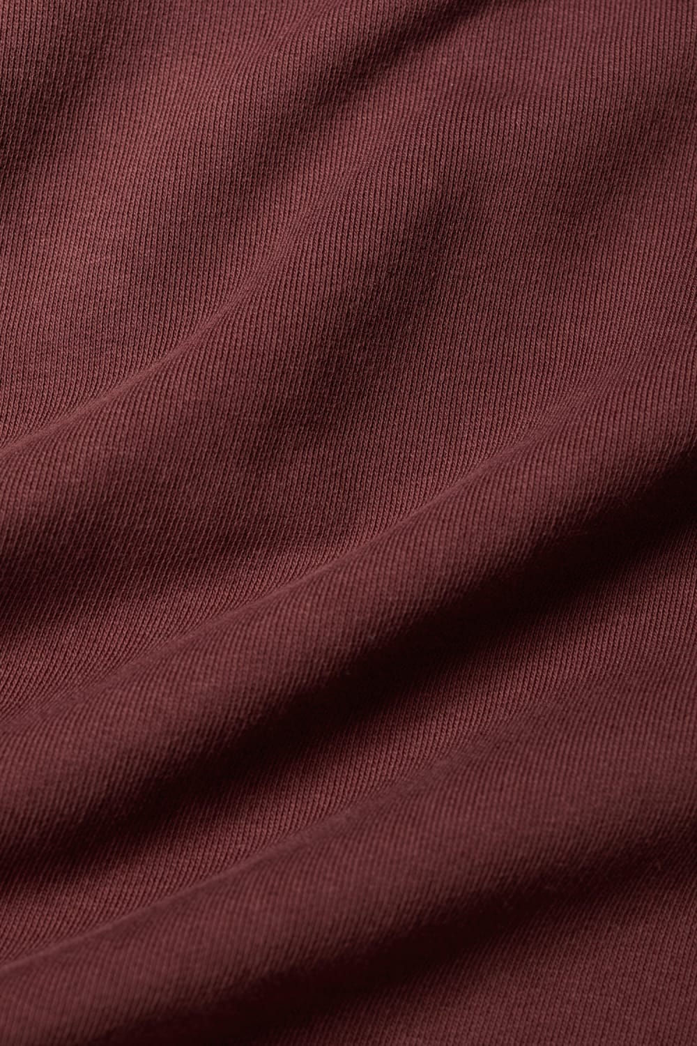 Seasalt Mens Wood Moss Sweatshirt in Rye