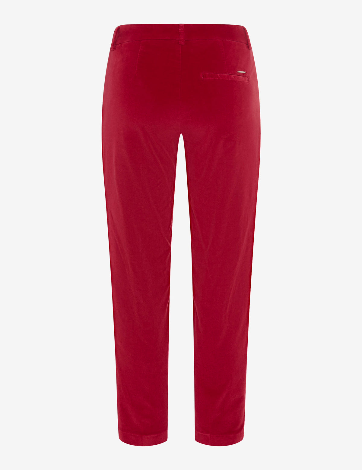 Brax Velvet Chinos - Rasberry