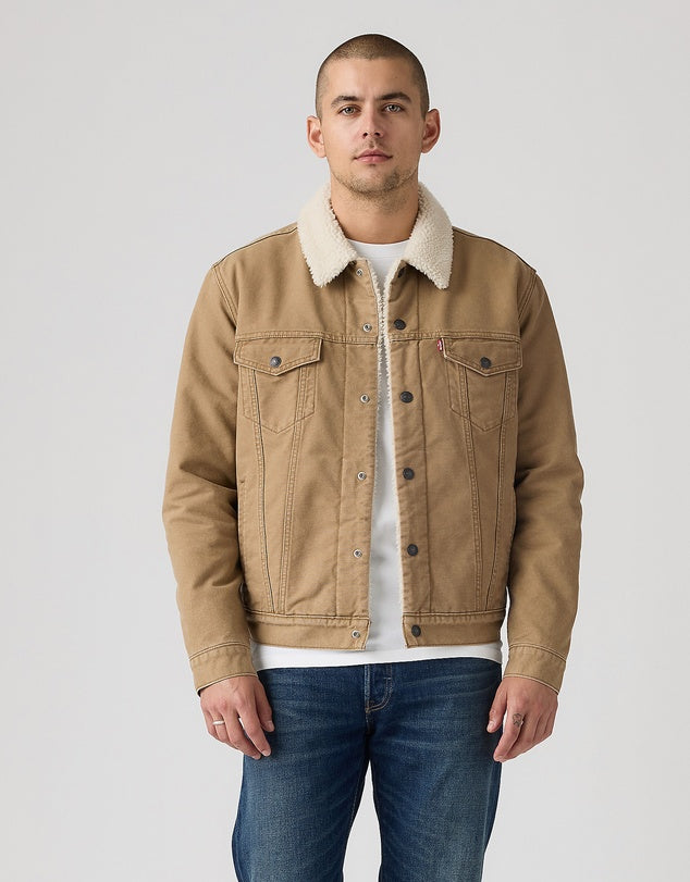 Levi's Canvas Sherpa Trucker Jacket in Ermine 0305