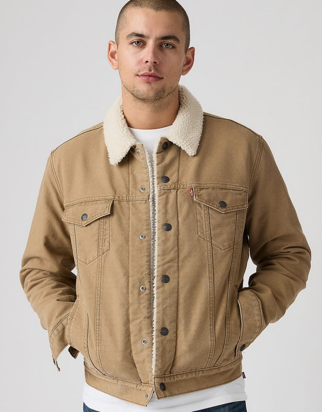 Levi's Canvas Sherpa Trucker Jacket in Ermine 0305