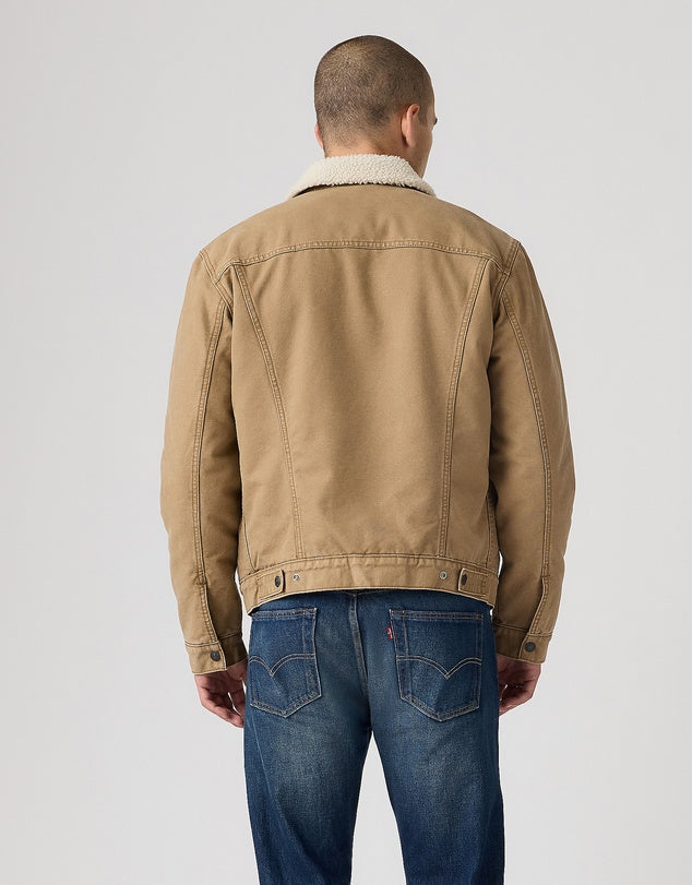 Levi's Canvas Sherpa Trucker Jacket in Ermine 0305