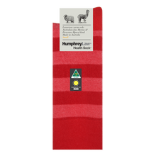 Load image into Gallery viewer, Striped Alpaca Socks
